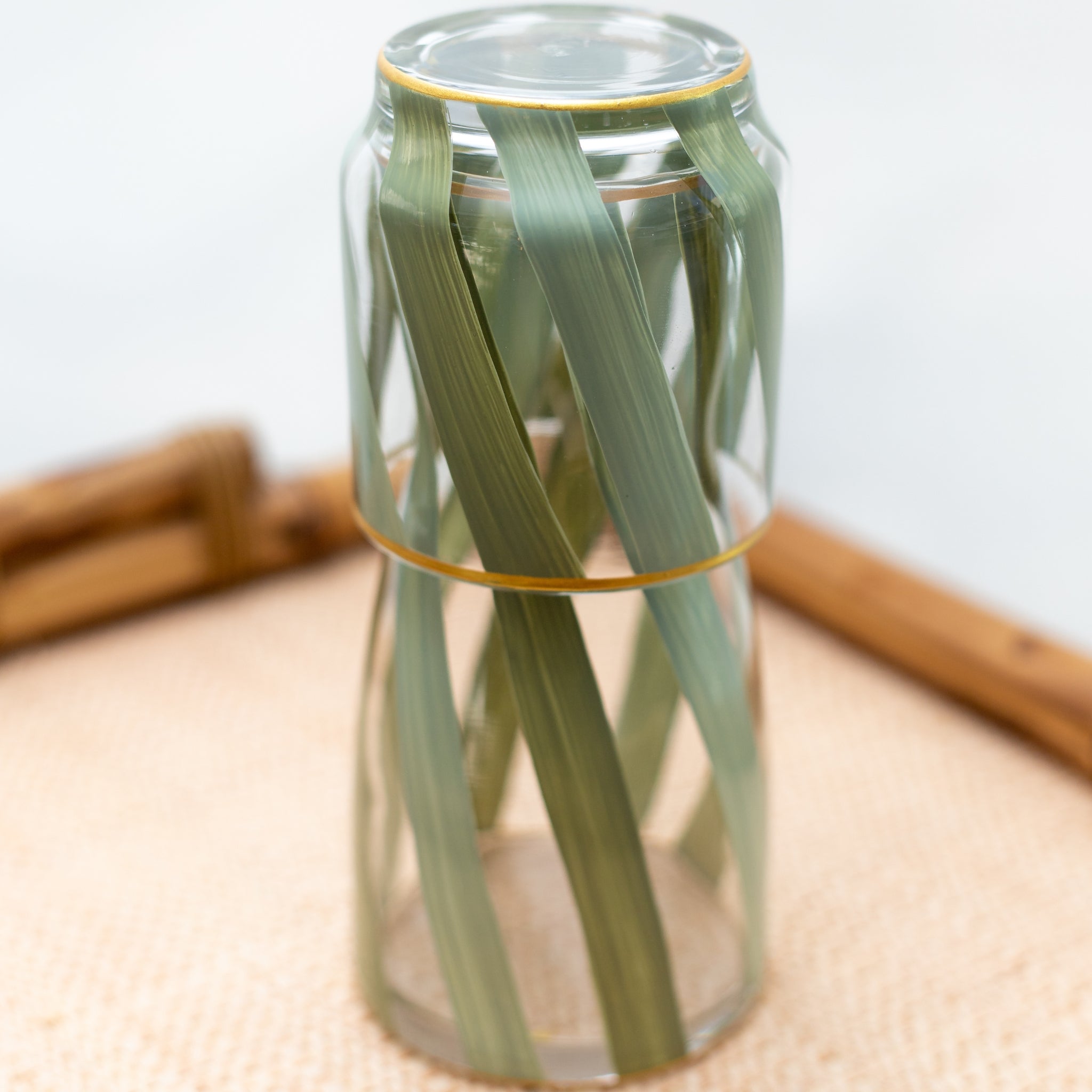 Moringa Verde