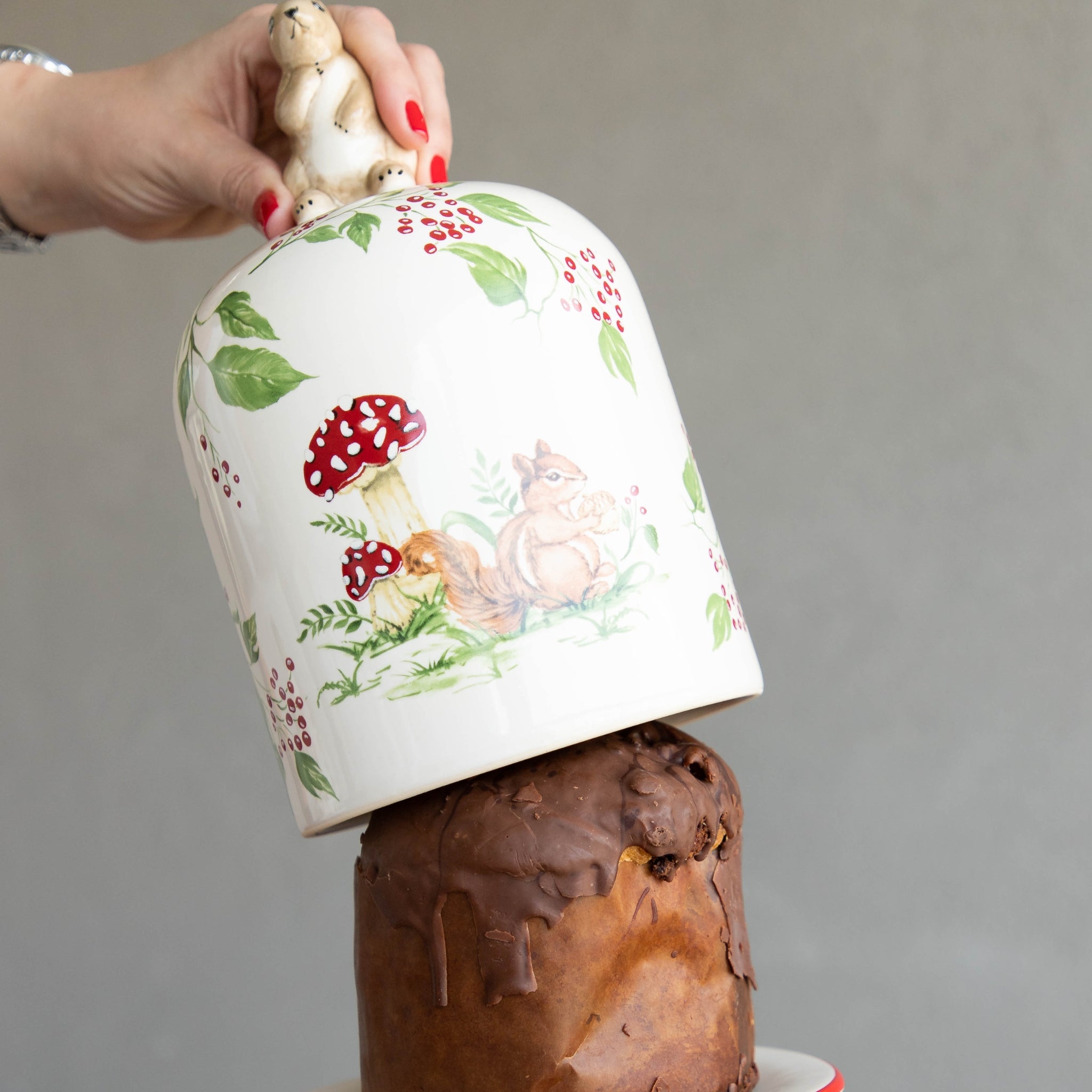 Porta Panetone Médio Esquilo