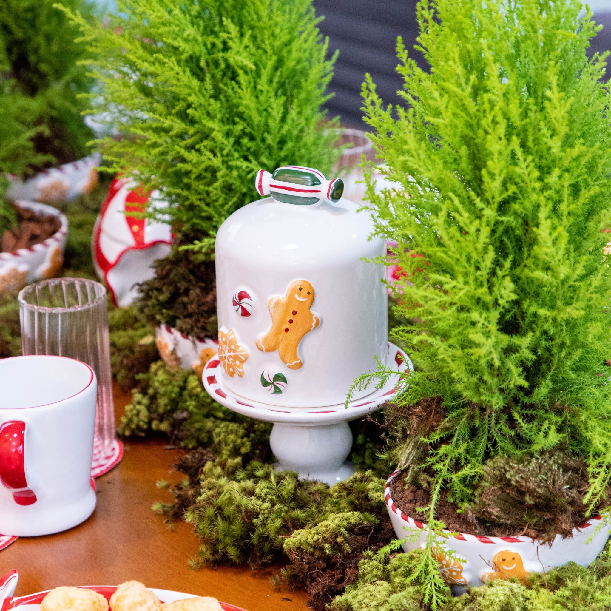 Porta Bala Gingerbread