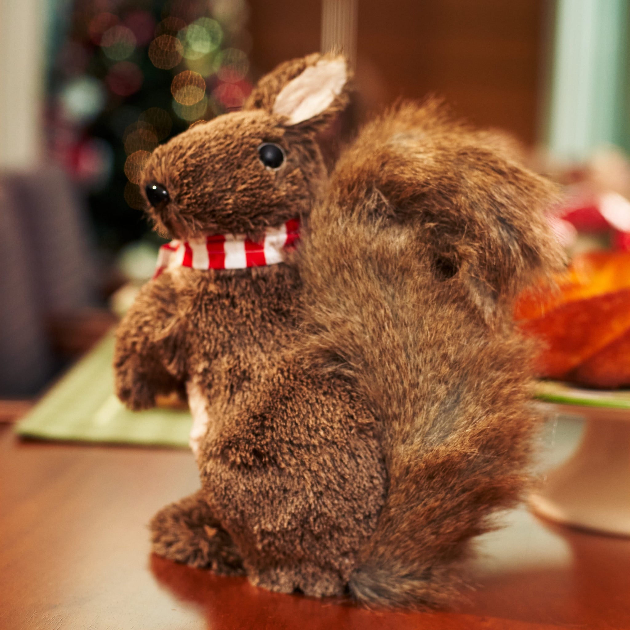 Esquilo com Cachecol