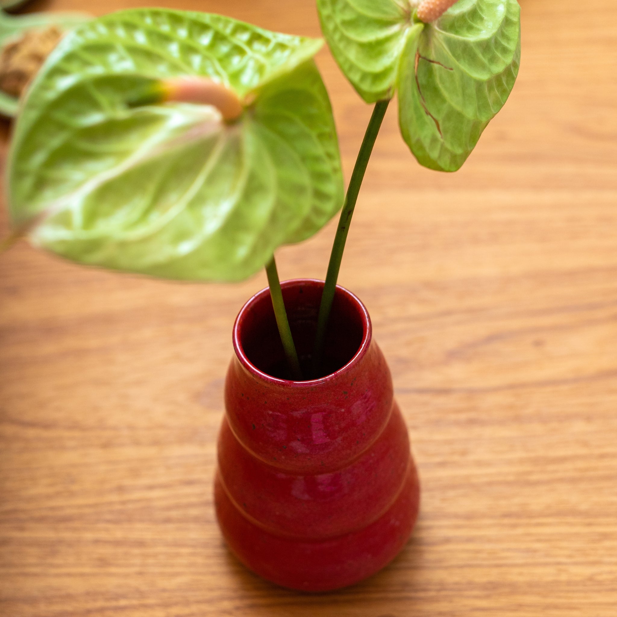 Vaso Essential Rosa Pequeno